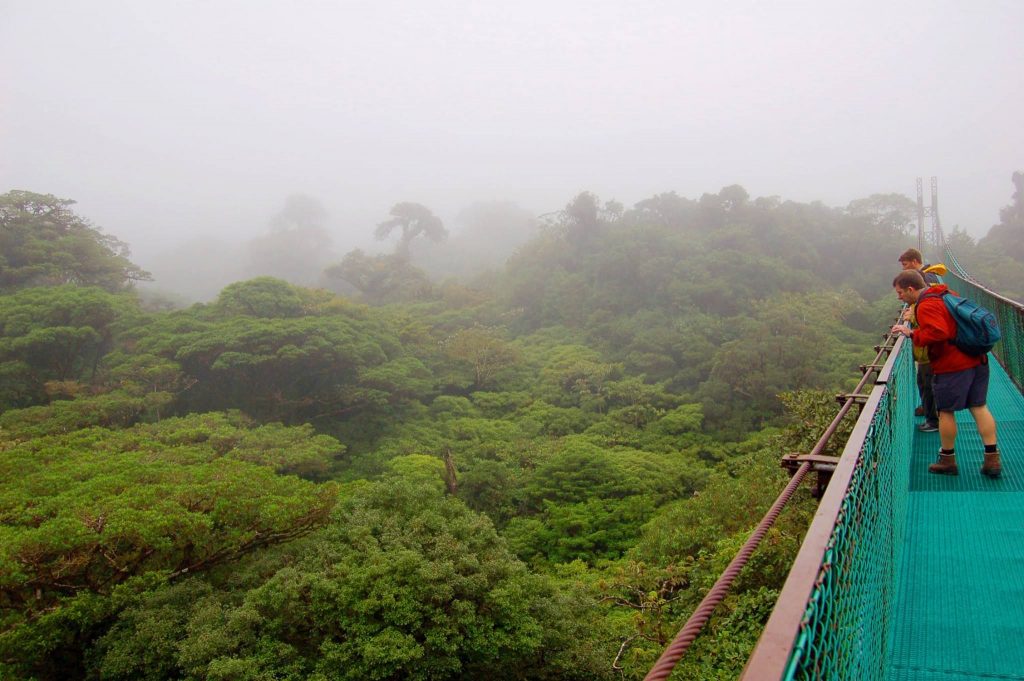 Costa Rica cloud forest