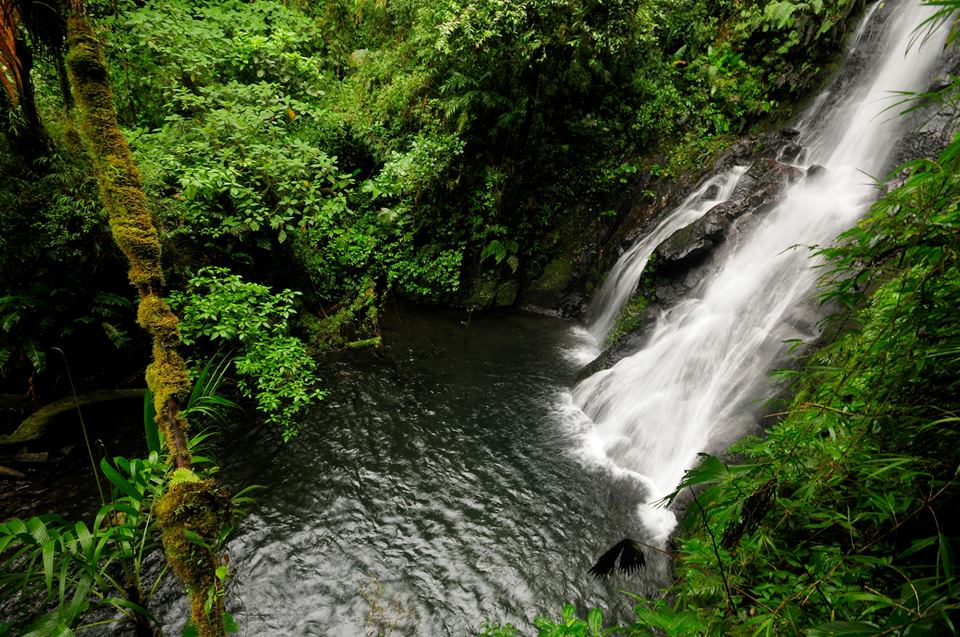 Costa-Rica-Cloud-Forest