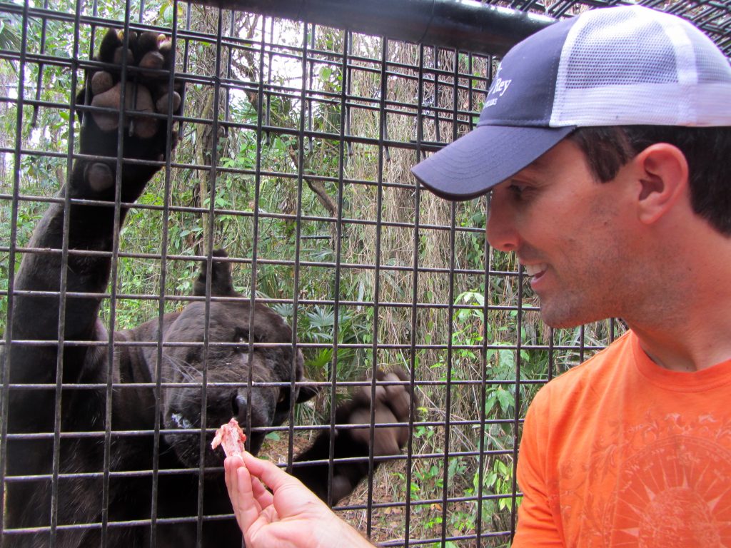 Belize Day Tour to the Zoo